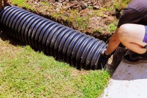 Why You Should Address Drainage Before Adding Plants in New Orleans, LA