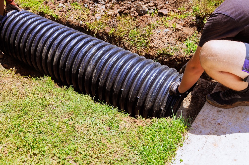 Why You Should Address Drainage Before Adding Plants in New Orleans, LA