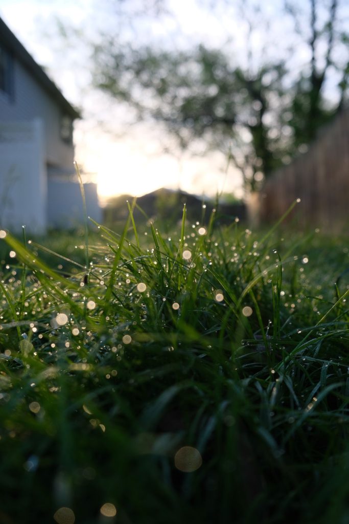 How to Control Runoff From Neighboring Properties in New Orleans, LA
