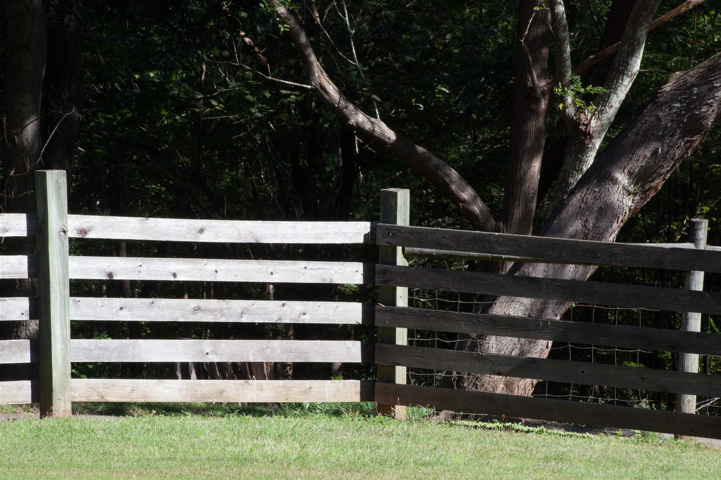 Horizontal board fence showing its posts and rails in front of a tree