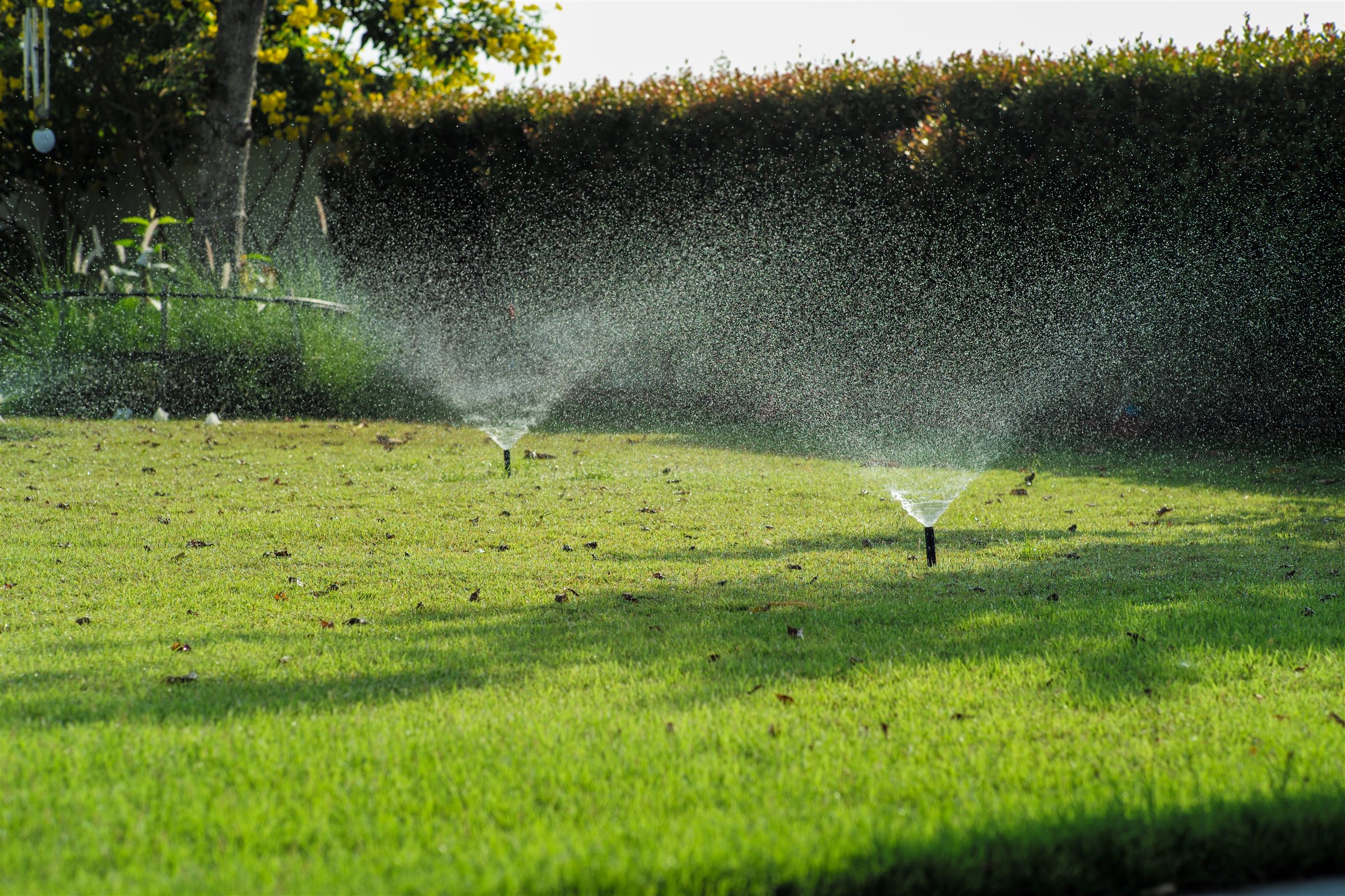 Two sprinkler heads spraying across a lawn in a suburban yard