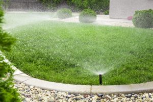 How Can You Tell if Your Irrigation System Is Working in New Orleans, LA?