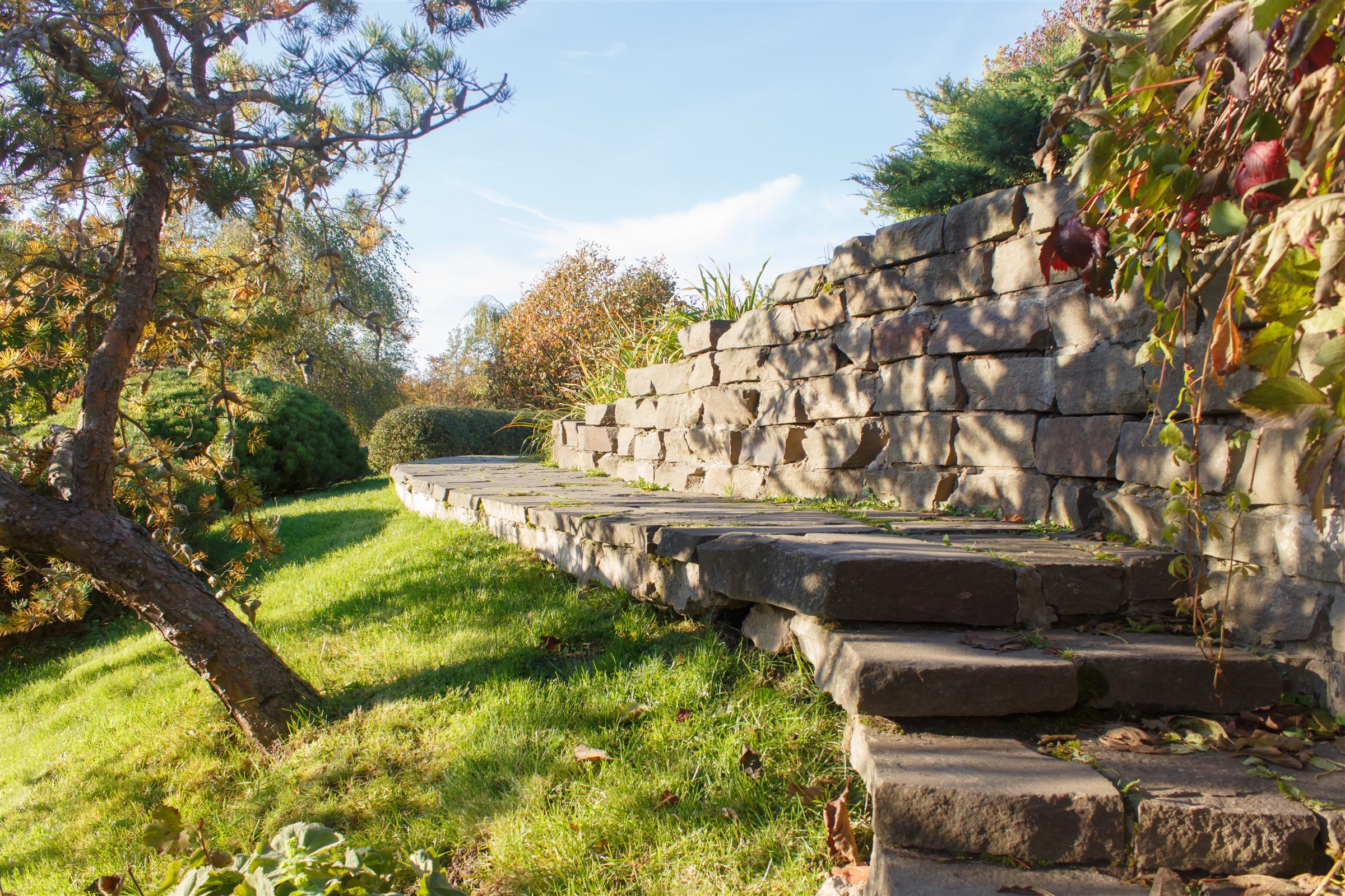 Stone steps and a dry-stacked stone wall climbing a landscaped slope